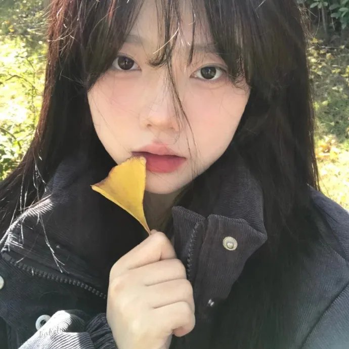 罪案终结第五季